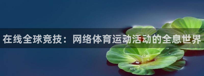 三亿体育登录：在线全球竞技：网络体育运动活动的全息世界