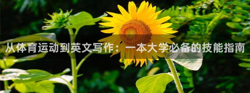 三亿体育：从体育运动到英文写作：一本大学必备的技能指南