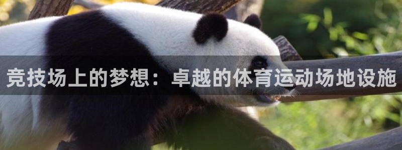 三亿体育网页版：竞技场上的梦想：卓越的体育运动场地设施