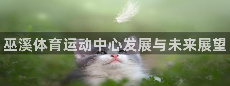 三亿体育网页版：巫溪体育运动中心发展与未来展望