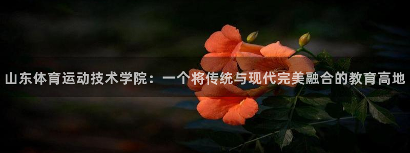 三亿体育：山东体育运动技术学院：一个将传统与现代完美融合的教育高地