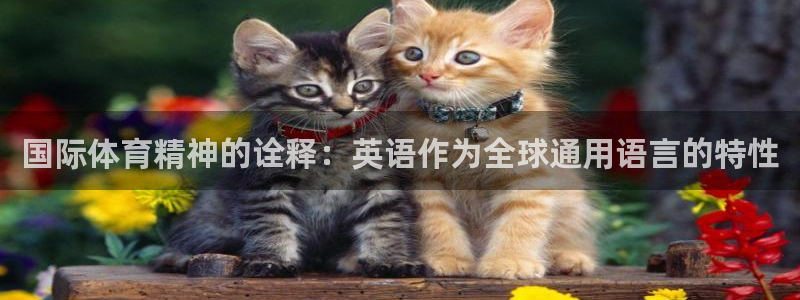 三亿体育登录：国际体育精神的诠释：英语作为全球通用语言的特性